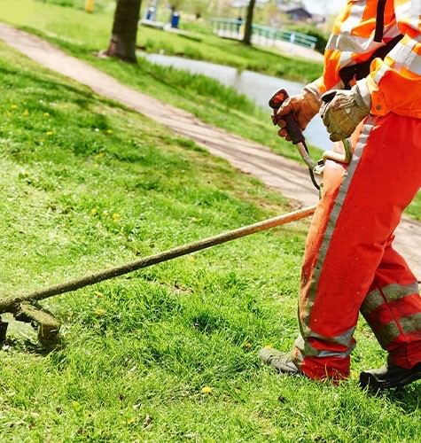 Стрижка газона в Сыктывкаре