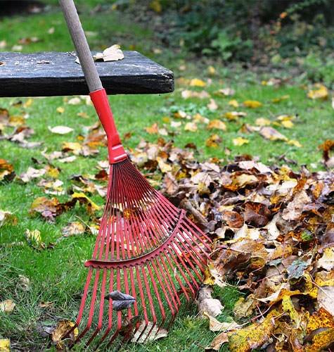 Уборка территории для организаций в Сыктывкаре